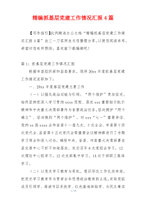 精编抓基层党建工作情况汇报4篇