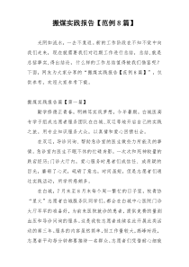 搬煤实践报告【范例8篇】