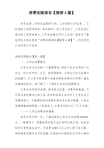 消费实践报告【推荐4篇】