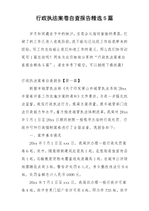 行政执法案卷自查报告精选5篇