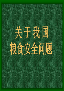 高中地理课件我国的粮食安全