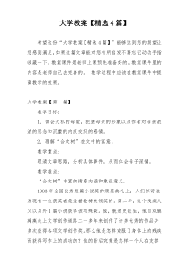 大学教案【精选4篇】