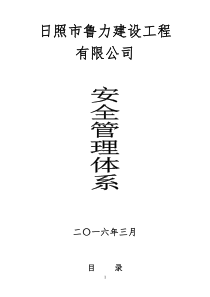 鲁力安全管理体系