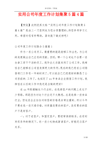 实用公司年度工作计划集聚5篇4篇