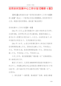 实用农村发展中心工作计划【精彩4篇】