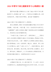 2024年青年干部主题教育学习心得感悟5篇