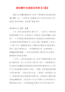 烟花爆竹自查报告范例【5篇】