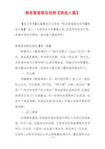 税务督查报告范例【热选5篇】