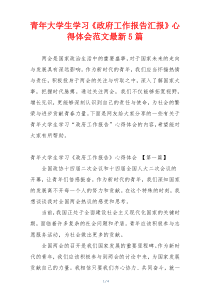 青年大学生学习《政府工作报告汇报》心得体会范文最新5篇