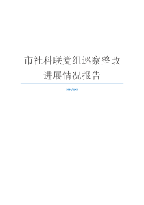 市社科联党组巡察整改进展情况报告