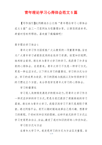 青年理论学习心得体会范文5篇