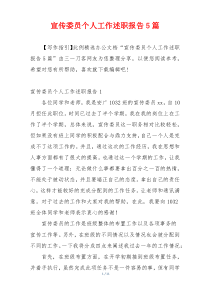 宣传委员个人工作述职报告5篇