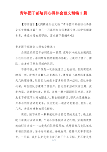 青年团干部培训心得体会范文精编3篇