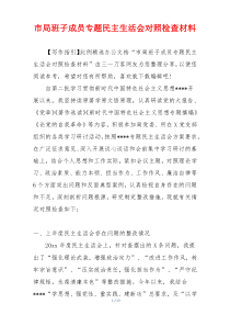 市局班子成员专题民主生活会对照检查材料
