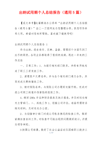 出纳试用期个人总结报告（通用5篇）