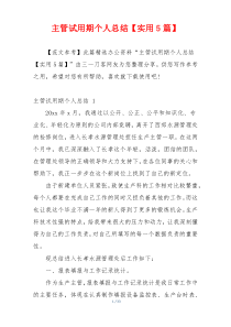 主管试用期个人总结【实用5篇】