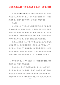 在县安委会第二次全体成员会议上的讲话稿