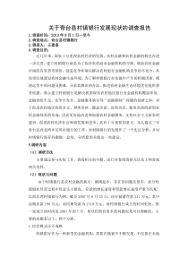 金融专业--社会实践调研报告