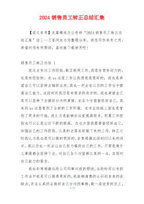 2024销售员工转正总结汇集