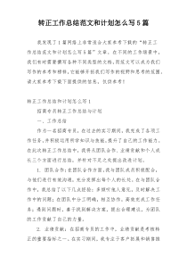 转正工作总结范文和计划怎么写5篇