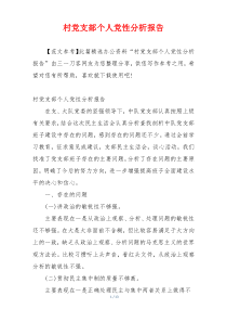 村党支部个人党性分析报告