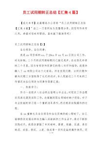 员工试用期转正总结【汇集4篇】