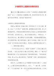 乡镇领导主题教育调研报告