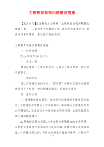 主题教育检视问题整改措施