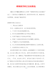 销售新员转正总结推选