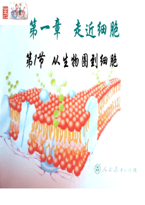 第一章第一节《从生物圈到细胞》PPT