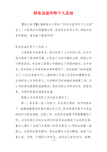 财务总监年终个人总结