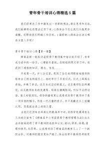 青年骨干培训心得精选5篇