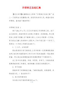 升职转正总结汇集