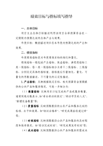 绩效目标与指标填写指导