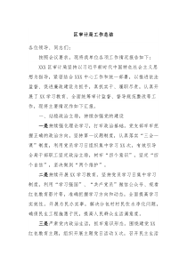 区审计局工作总结