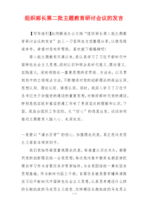 组织部长第二批主题教育研讨会议的发言