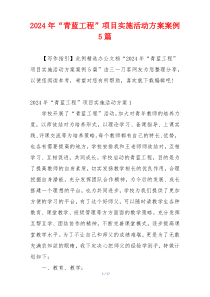 2024年“青蓝工程”项目实施活动方案案例5篇