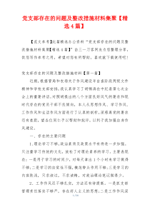党支部存在的问题及整改措施材料集聚【精选4篇】
