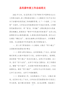 县民委年度工作总结范文