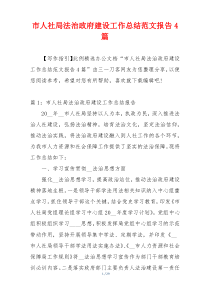 市人社局法治政府建设工作总结范文报告4篇