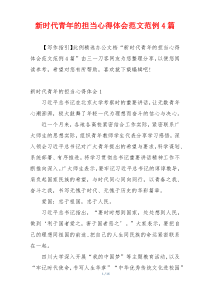 新时代青年的担当心得体会范文范例4篇