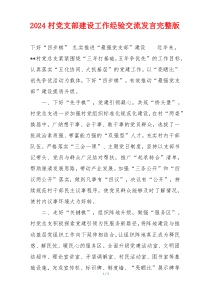 2024村党支部建设工作经验交流发言完整版