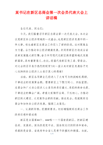 某书记在新区总商会第一次会员代表大会上讲话稿