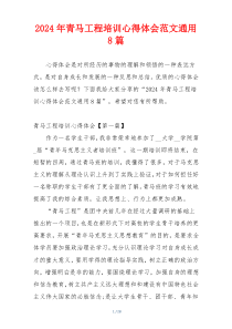 2024年青马工程培训心得体会范文通用8篇