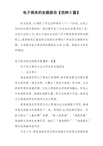 电子商务的实践报告【范例5篇】
