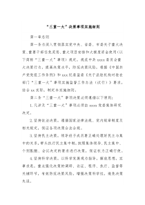 三重一大决策事项实施细则