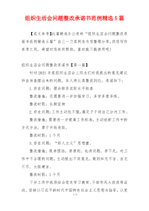 组织生活会问题整改承诺书范例精选5篇