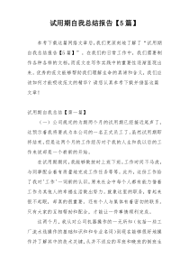 试用期自我总结报告【5篇】