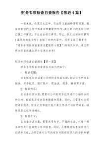 财务专项检查自查报告【推荐4篇】