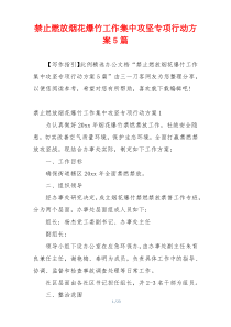 禁止燃放烟花爆竹工作集中攻坚专项行动方案5篇